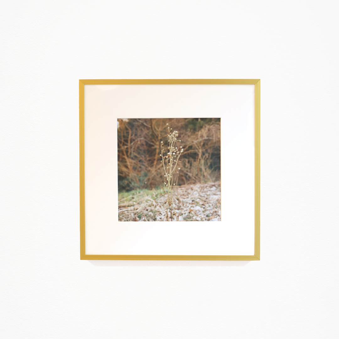 鳥野みるめ「はねやすめ(3)」