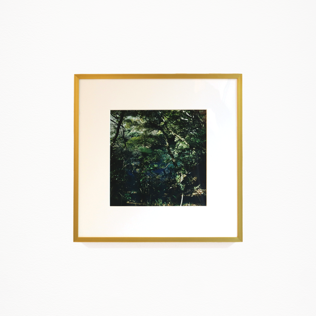 鳥野みるめ「はねやすめ(9)」