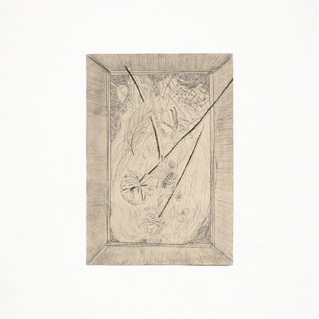 朴愛里「私の箱」