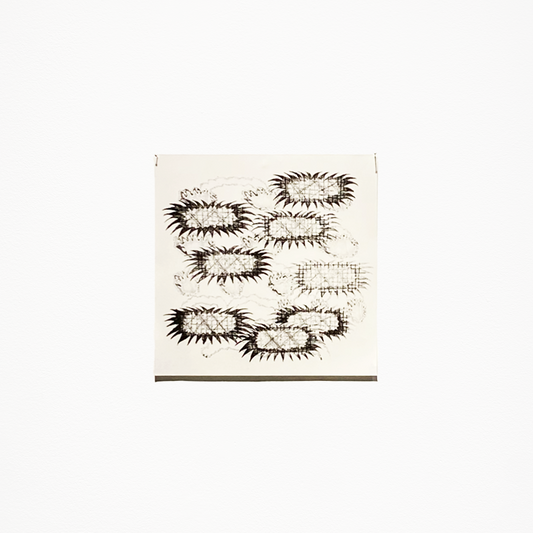 松尾華子「たくさん」