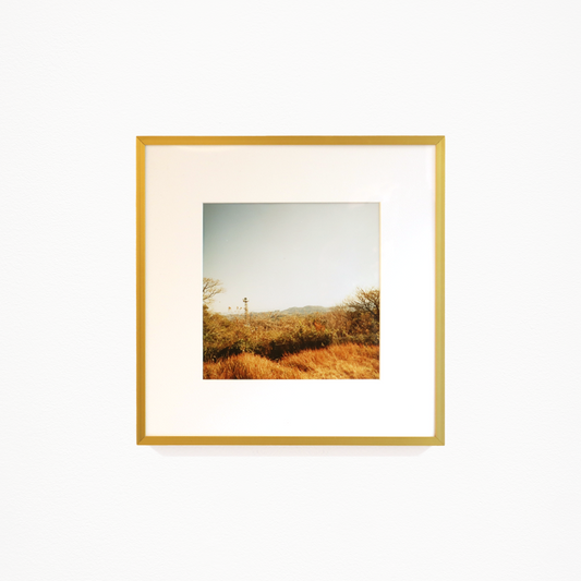 鳥野みるめ「はねやすめ(5)」