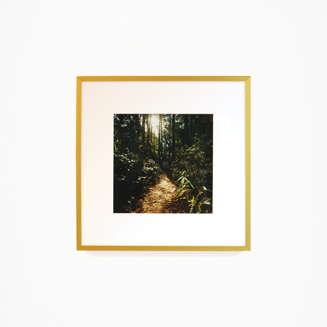 鳥野みるめ「はねやすめ(6)」