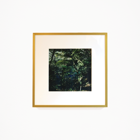 鳥野みるめ「はねやすめ(9)」