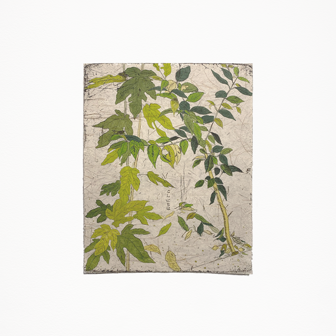 朴愛里「今日は」