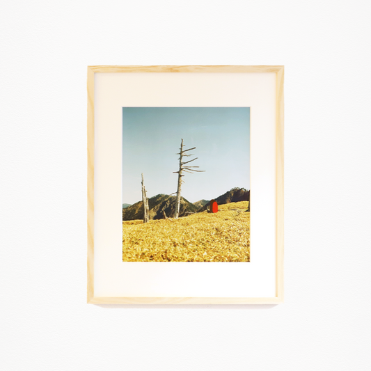 石川真悠「強さ」