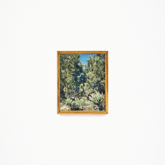 石川真悠「上へ-1」