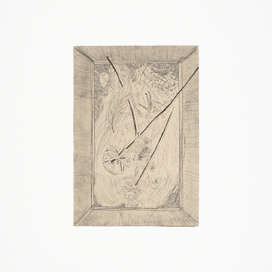 朴愛里「私の箱」